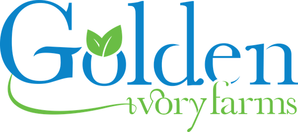 Golden Ivory Integrated Farms
